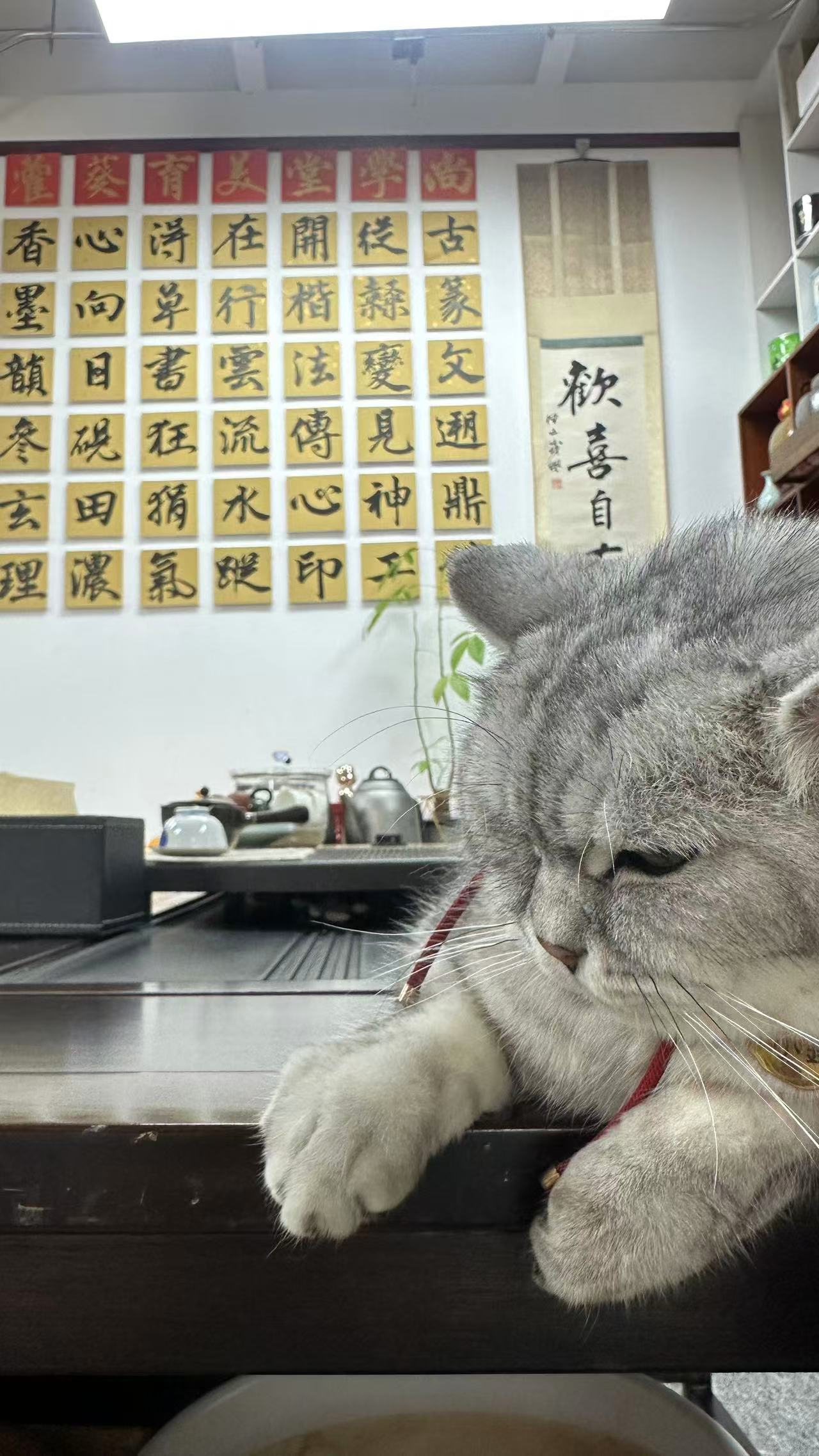 教学环境